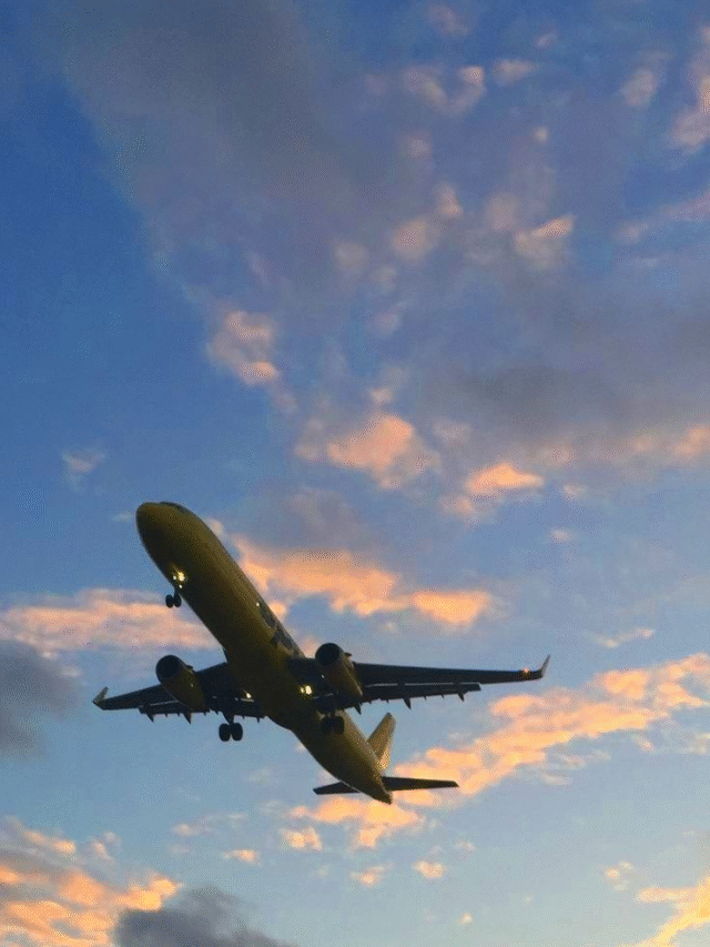 Oldest Airports in India: A Journey Through Time