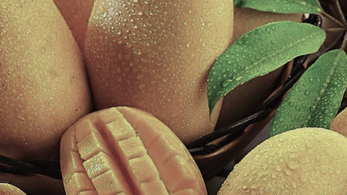 Mangoes of India