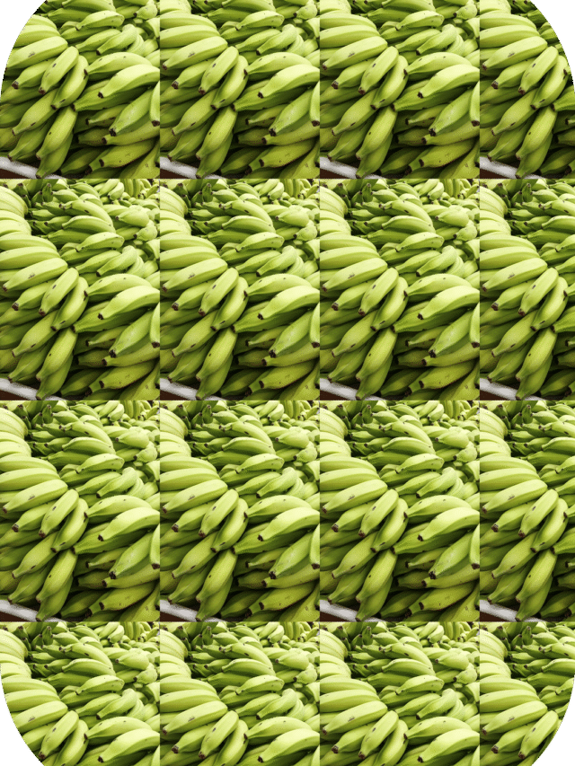 Smart Tips to Keep Your Bananas Fresh and Lasting Longer