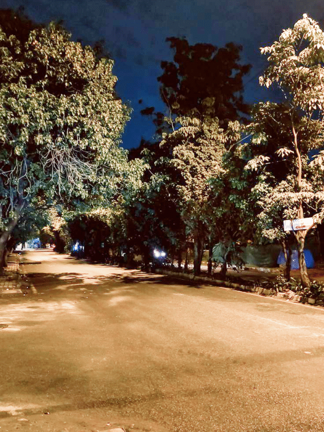 Important Facts About Durgapur