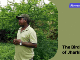 Pannalal Mahato from Jharkhand, known as the ‘Birdman, of Jharkhand'