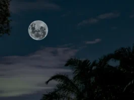 Spiritual Importance and Complete 2026 Poornima Dates Spiritual Importance and Complete 2026 Poornima Dates