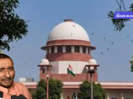Supreme Court Stays Delhi High Court Order in Kuldeep Singh Sengar Case