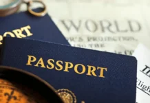 Need a Passport in Bengaluru? Mobile Passport Vans Begin Service This Week — Dates, Timings, Benefits and Key Details