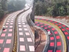 Red Roads, Green Intent: How NHAI Is Protecting Wildlife While Improving Highway Safety