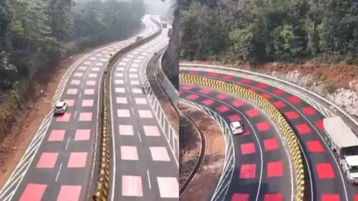 Red Roads, Green Intent: How NHAI Is Protecting Wildlife While Improving Highway Safety