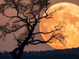 Wolf Supermoon 2026 — Date, Science & How to Watch
