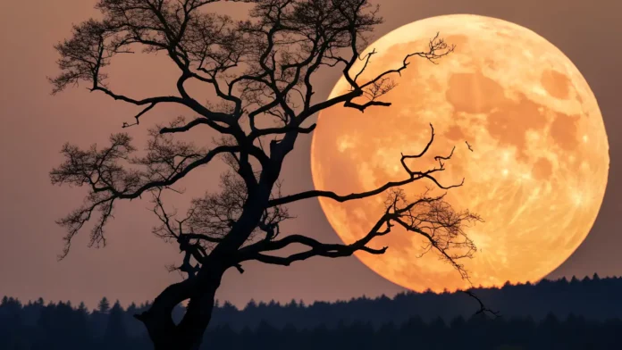 Wolf Supermoon 2026 — Date, Science & How to Watch