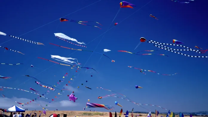 Emraan Hashmi at Ahmedabad International Kite Festival