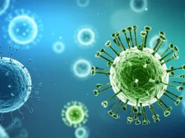 Jharkhand on High Alert After Nipah Cases in West Bengal Jharkhand on High Alert After Nipah Cases in West Bengal