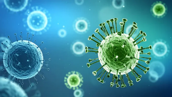 Jharkhand on High Alert After Nipah Cases in West Bengal