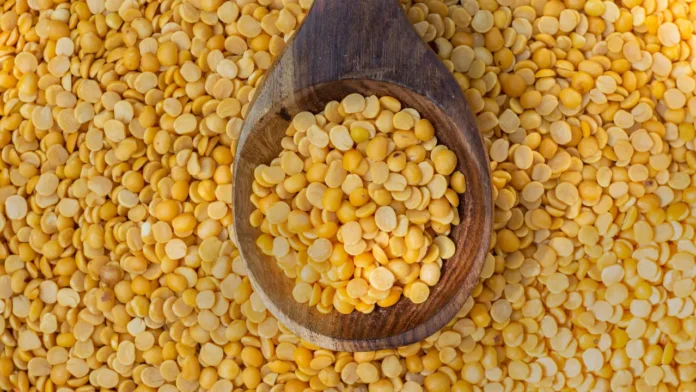 Will Dal Derail the India–US Trade Deal? A Deeper Look at the Pulse Tariff Dispute