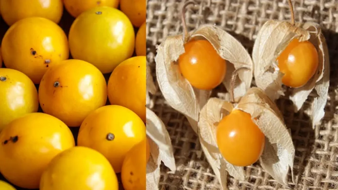 Golden Berries Benefits: Nutrition, Health Uses, and How to Eat Them