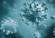 Karnataka Reports First Bird Flu Case of 2026: Thousands of Chickens Culled, Alert Issued Karnataka Reports First Bird Flu Case of 2026: Thousands of Chickens Culled, Alert Issued