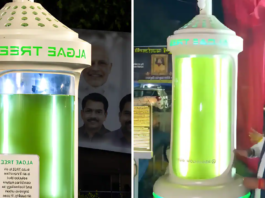 Bhopal Becomes India’s First City to Install ‘Algae Tree’ That Absorbs Carbon Dioxide