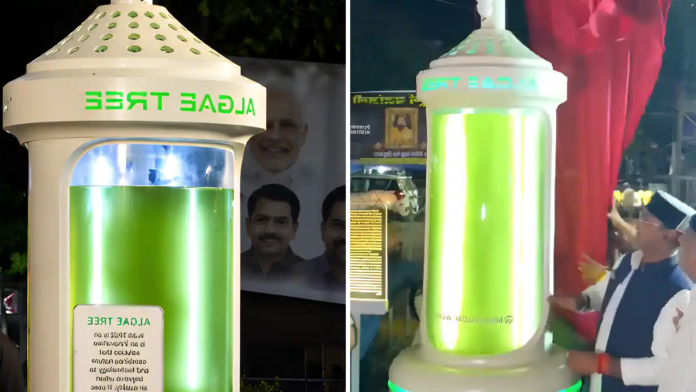 Bhopal Becomes India’s First City to Install ‘Algae Tree’ That Absorbs Carbon Dioxide