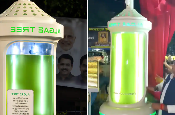 Bhopal Becomes India’s First City to Install ‘Algae Tree’ That Absorbs Carbon Dioxide