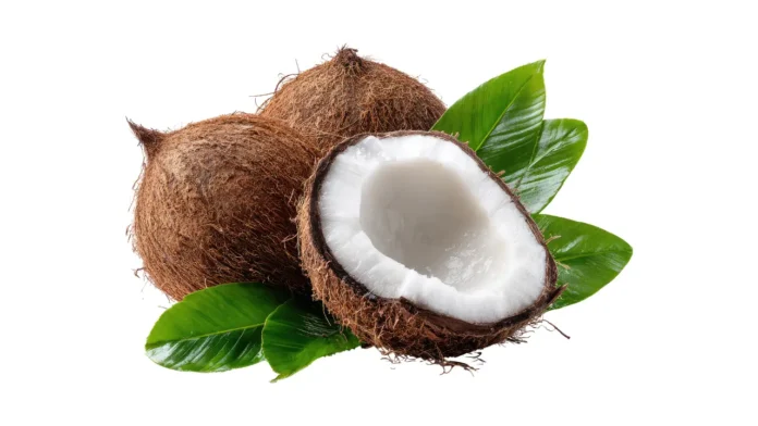 Coconut Oil Prices Crash in Kerala: From ₹500 to ₹250 — What’s Behind the Sudden Fall?