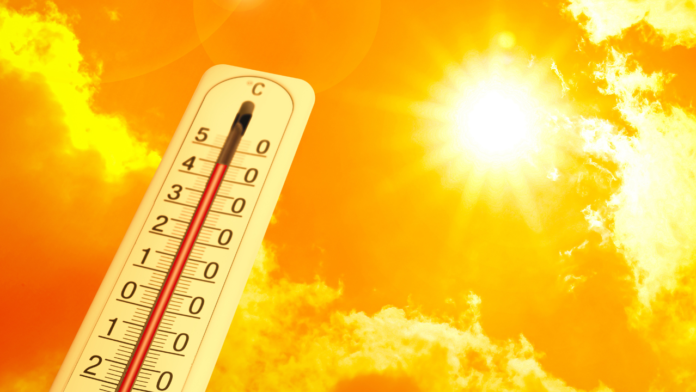 IMD Issues Red and Orange Alerts as Severe Heatwave Sweeps Across India