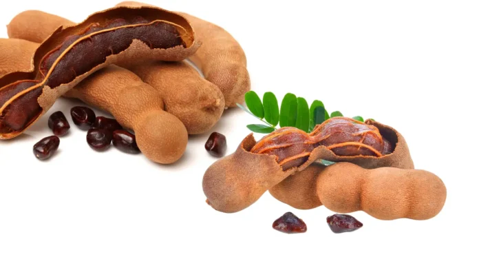 “Not Sour, But Sweet”: Why Amit Shah’s Praise For Bastar Tamarind Matters Beyond Taste