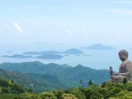 What Gautama Buddha Taught Students About Stress, Focus & Peace