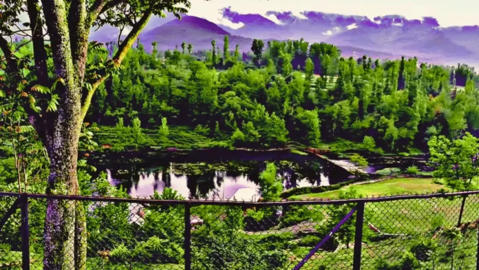 What is Panzath Nag? The Kashmiri Spring Where Tradition, Faith and Water Conservation Meet