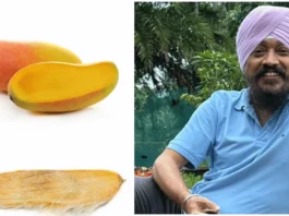 Who is Jasmit Singh Arora? The Gutli Man of India