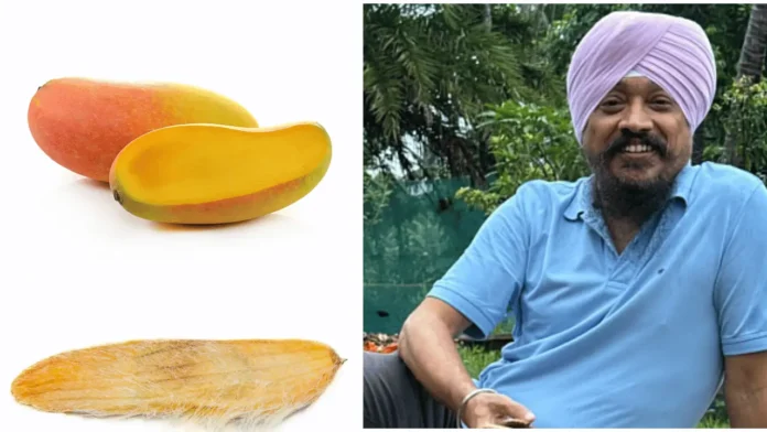 Who is Jasmit Singh Arora? The Gutli Man of India