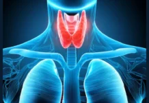 World Thyroid Day 2026: The Silent Gland World Thyroid Day 2026: The Silent Gland