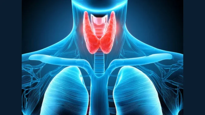 World Thyroid Day 2026: The Silent Gland