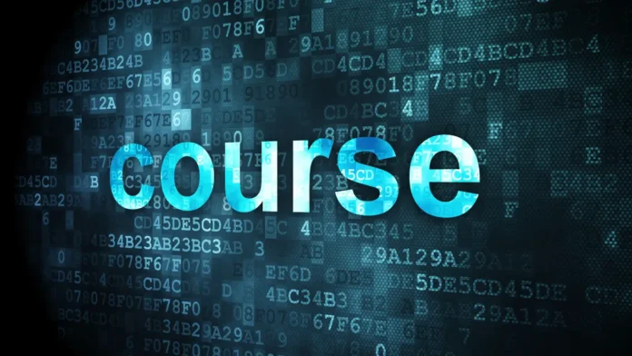 Career Options After Class 12 Beyond Engineering and MBBS
