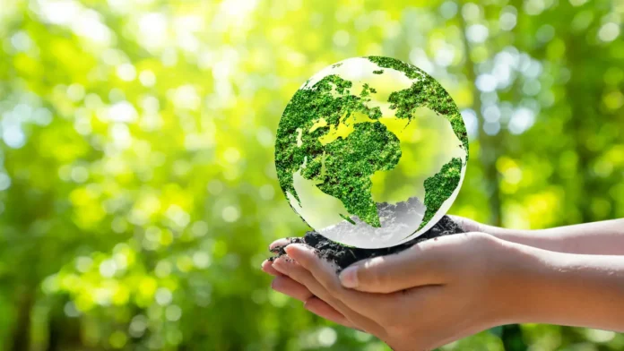 Meet the Indians Planting Thousands of Trees Without Government Support
