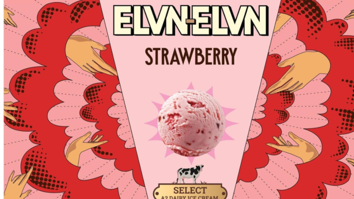 ELVN-ELVN: Bengaluru Startup Reinvents Clean-Label Ice Cream